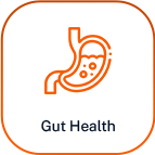 Gut Health